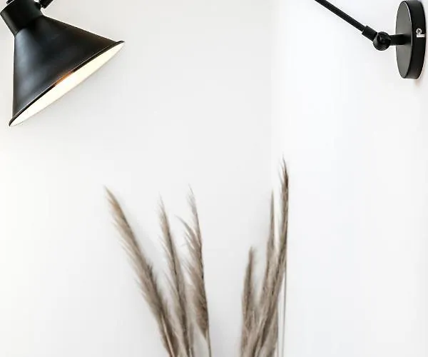 Mare Cheia: And Surf 2